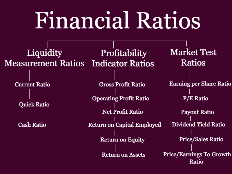 financial ratios Infographic