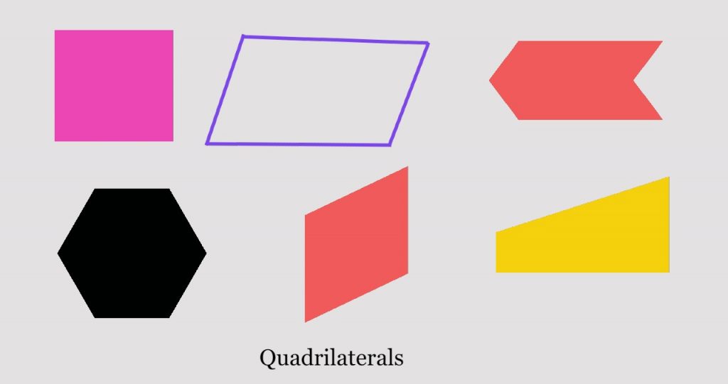  Quadrilateral