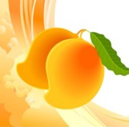 mango-fruit
