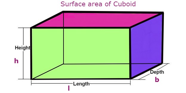 Surface Area of a Cuboid