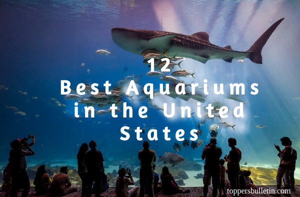Best Aquariums in the United States
