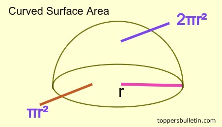 Curved Surface Area