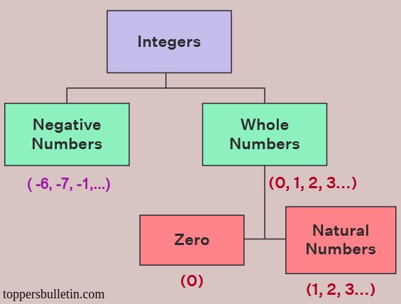 What are Integers? 
