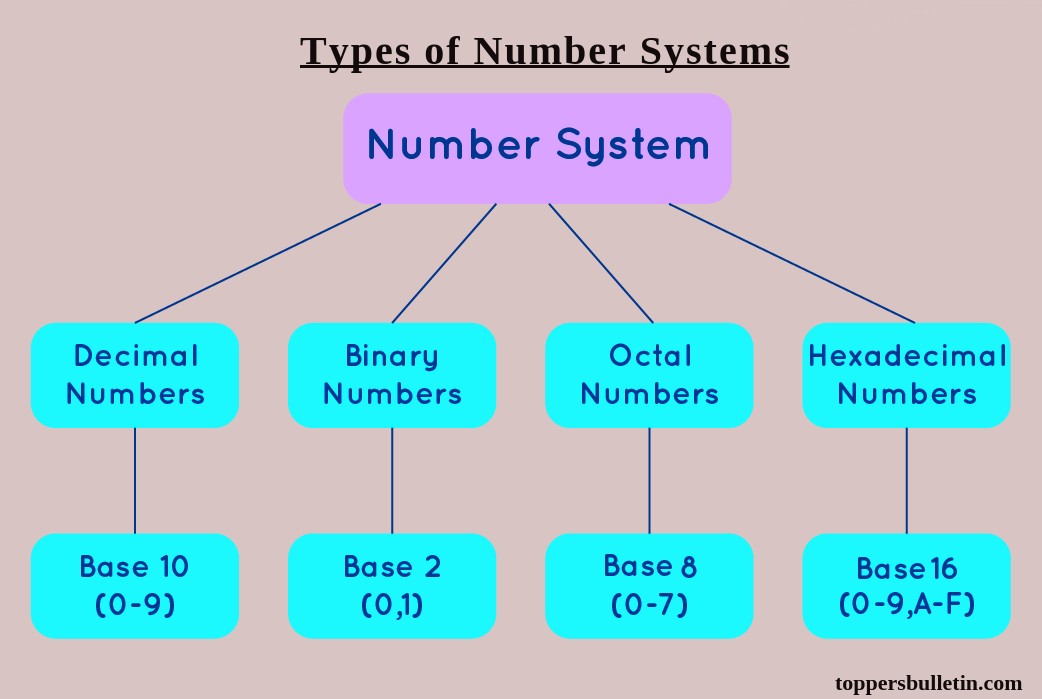 Types of Number Systems 