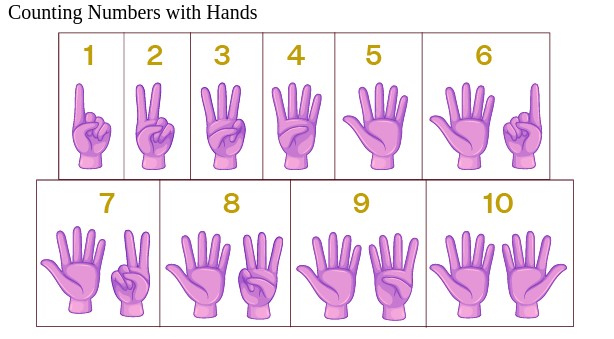 Counting Numbers with Hands