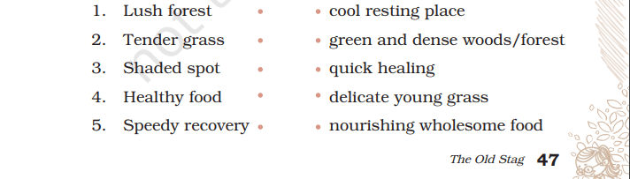 Class 4 English Chapter 5 The Old Stag