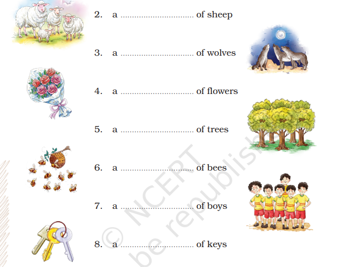 NCERT Class 4 English Santoor Chapter 1 Together We Can Solutions