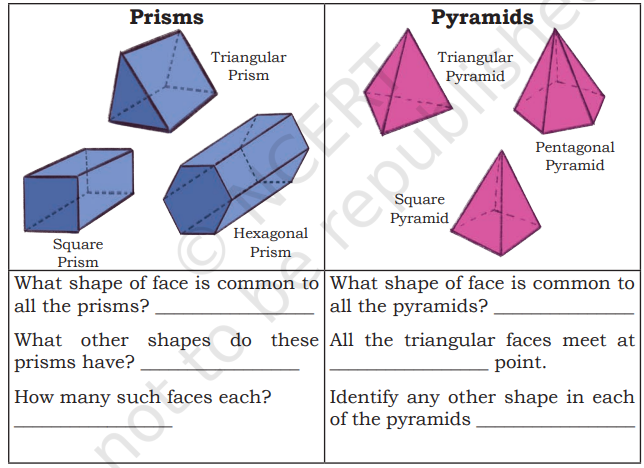 Shapes Around Us