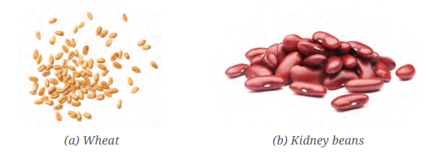 class6-science-chapter2-question2