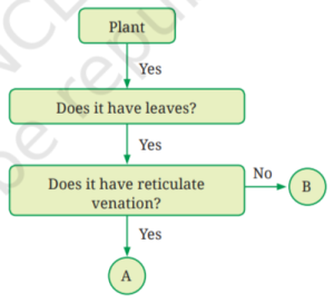 class6-science-chapter2-question7