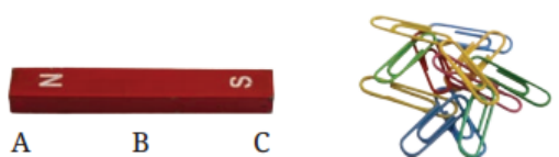class6-science-chapter4-question4