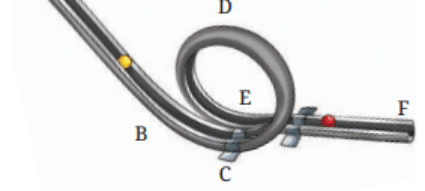 class6-science-chapter6-question11