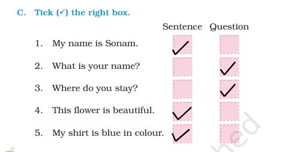 NCERT Solutions Class 4 English Santoor Chapter 8 The Lagori Champions